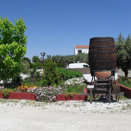 Terras De Monsaraz Ξενοδοχείο Reguengos de Monsaraz Εξωτερικό φωτογραφία