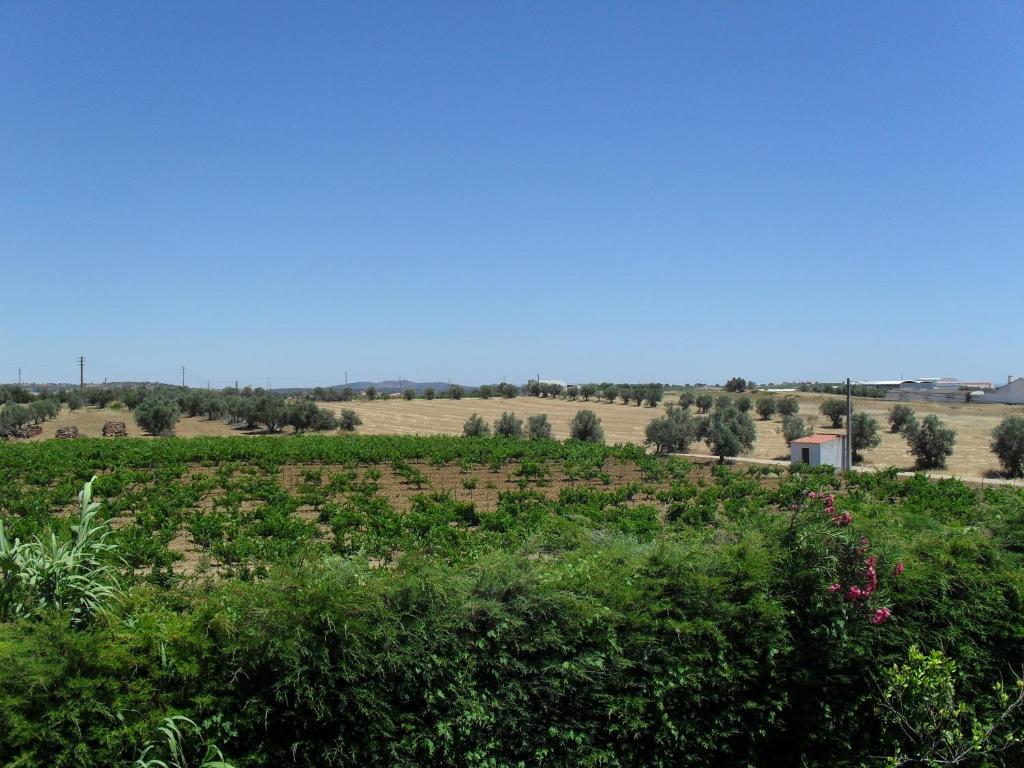 Terras De Monsaraz Ξενοδοχείο Reguengos de Monsaraz Δωμάτιο φωτογραφία