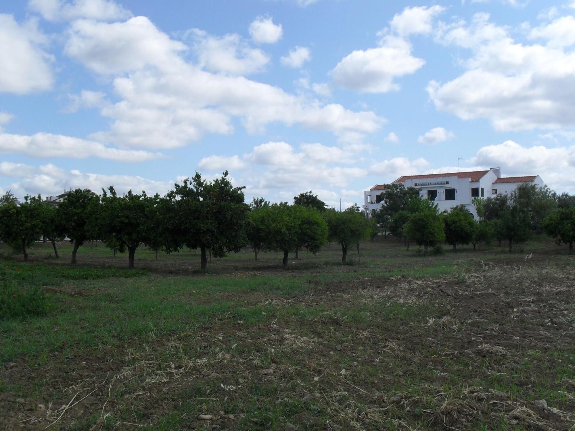 Terras De Monsaraz Ξενοδοχείο Reguengos de Monsaraz Εξωτερικό φωτογραφία